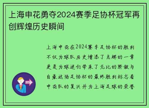上海申花勇夺2024赛季足协杯冠军再创辉煌历史瞬间